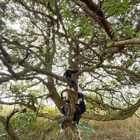 島の様子の写真4