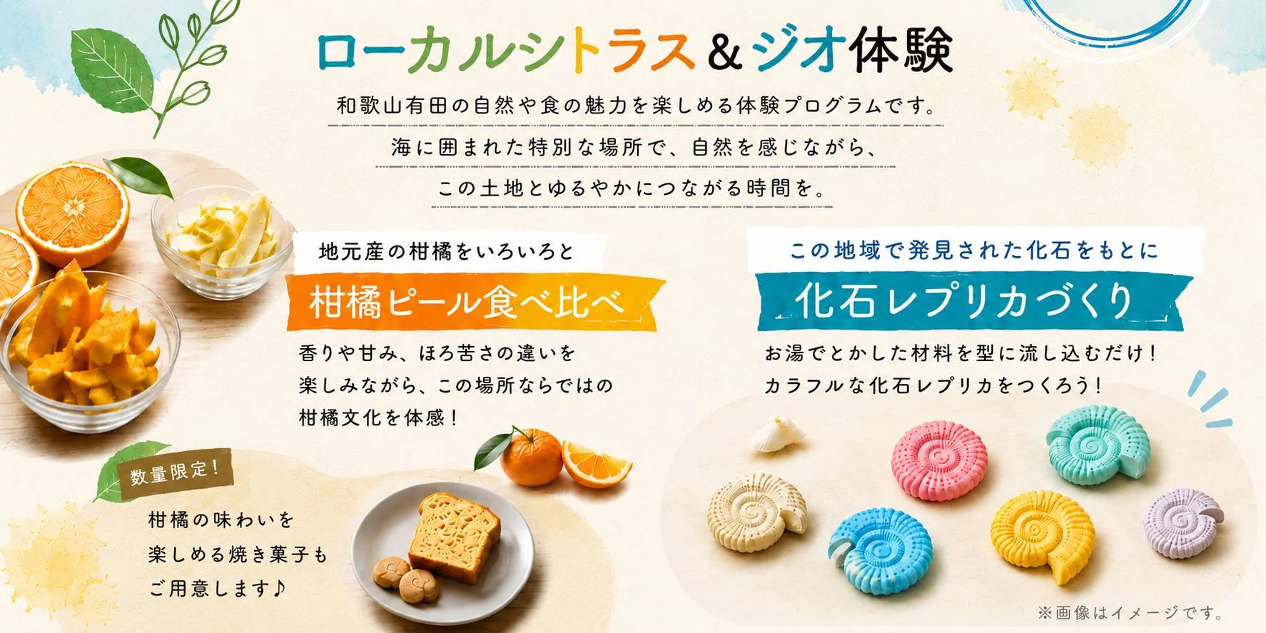 ローカルシトラス＆ジオ体験の様子