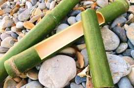 自然のもので食器作り
