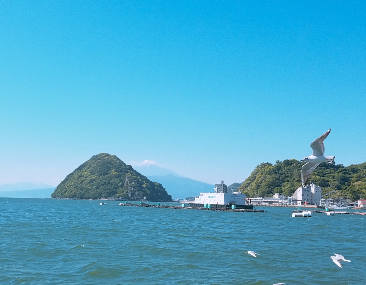 静岡県の無人島 離島おすすめ5選 1日1組限定の無人島も 無人島プロジェクト